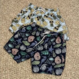 Trunks brand Pineapple and Sea Life Print Swim Shorts